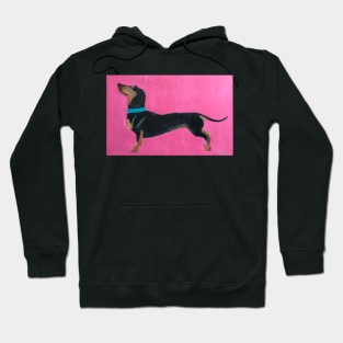 Dachshund, Acrylic Painting Hoodie